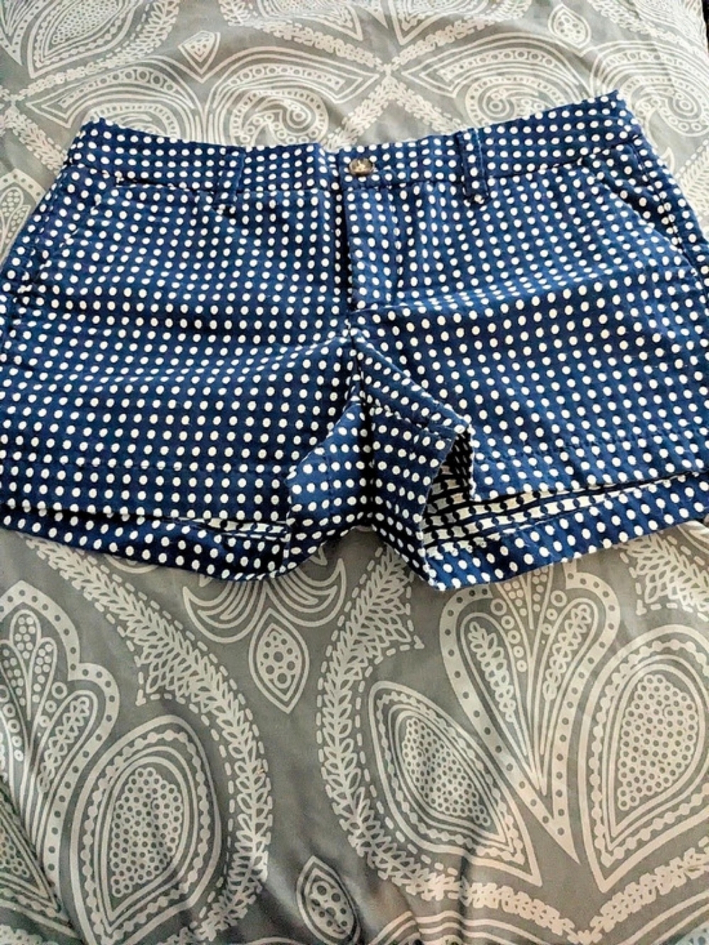 Merona Blue and White Polka Dot Chino Shorts Blue & White Polka Dot Chino Shorts